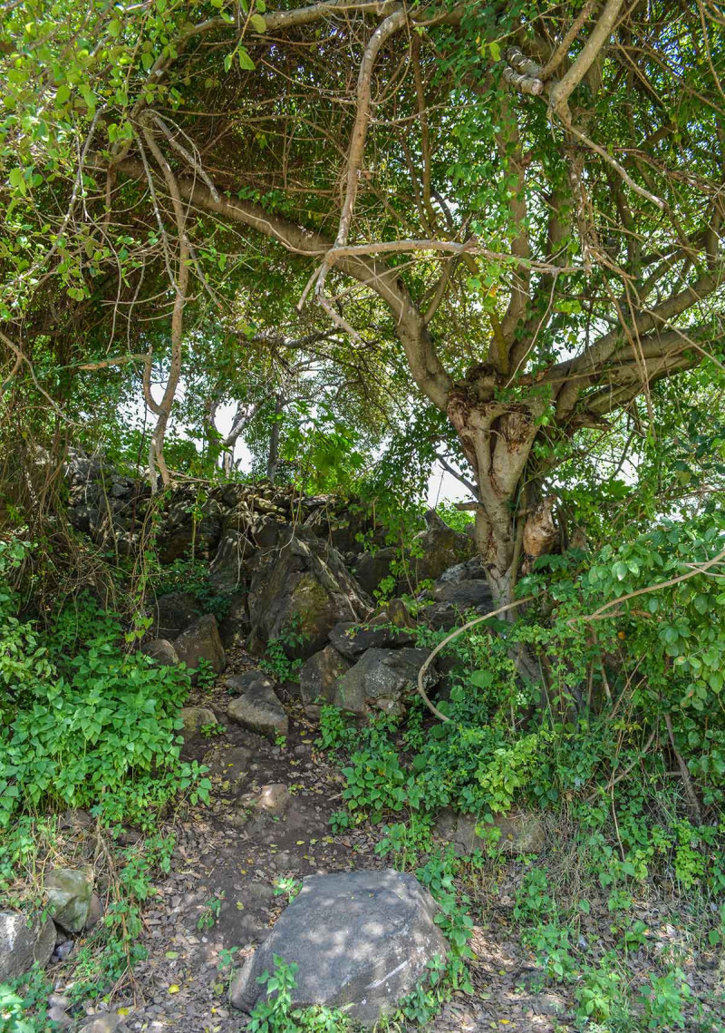 Guachimontones