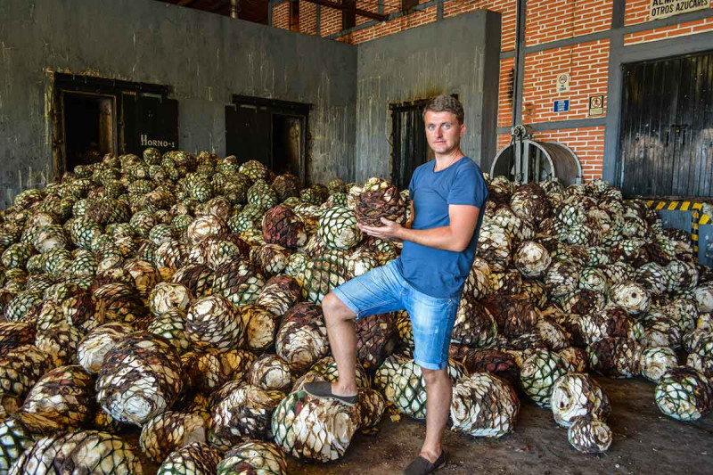 Tequila city