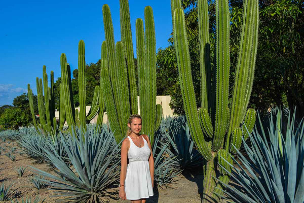 Tequila city